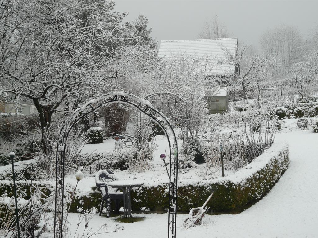 Haus Mit Aussicht Lägenhet Horn-Bad Meinberg Exteriör bild
