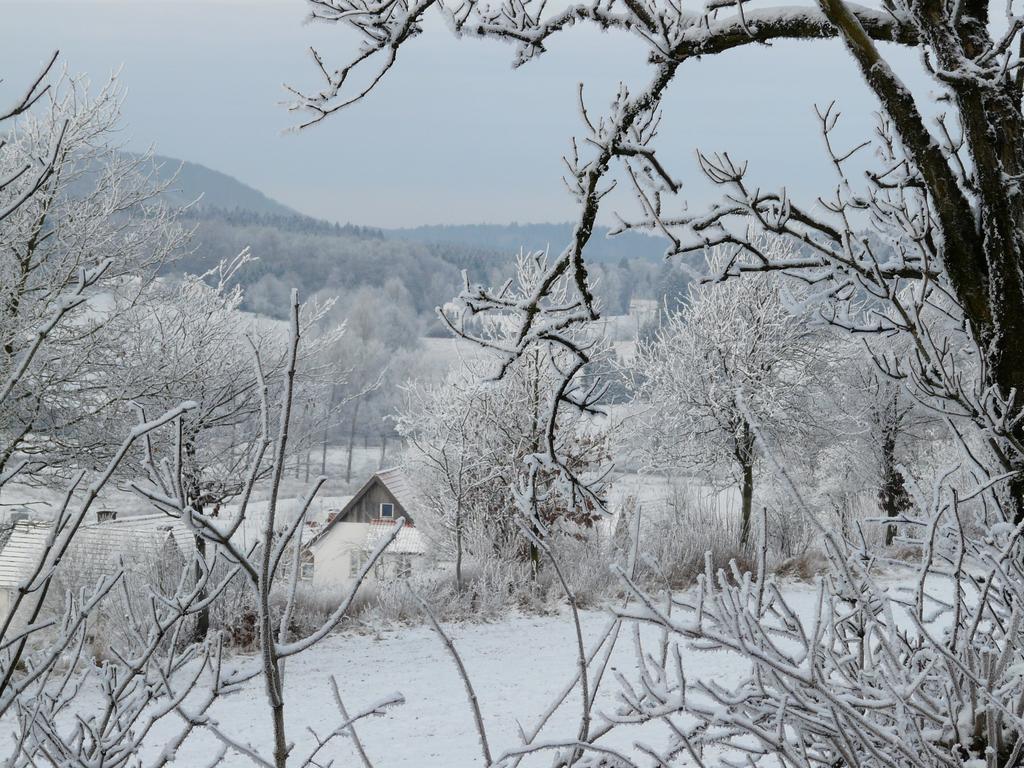 Haus Mit Aussicht Lägenhet Horn-Bad Meinberg Exteriör bild